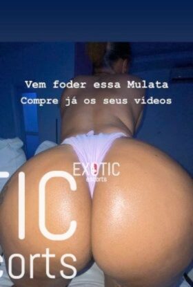 Mambo Perve
