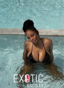 Beau Bassin–Rose Hill escort 