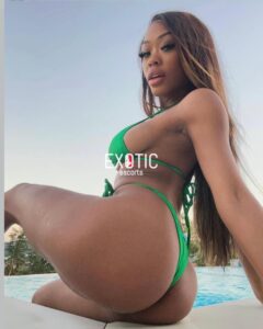 Niger escort 